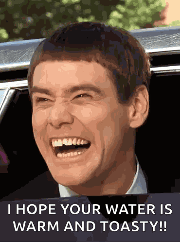 Dumb And Dumber Jim Carrey GIF