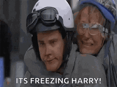 Dumb And Dumber Jim Carrey GIF