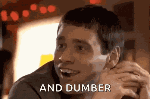 Dumb Dumb And Dumber GIF
