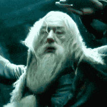 Dumbledore Falling Fly You Fool GIF