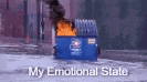 Dumpster Fire Emotional Meme