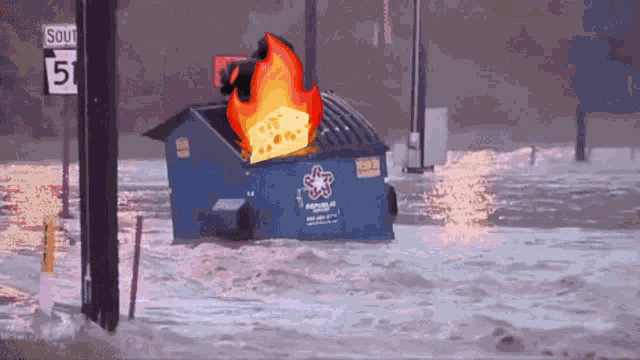 Dumpster Fire Fire Cheese GIF