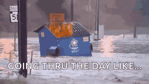 Dumpsterfire Disaster GIF