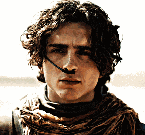 Dune Dune Part 2 GIF