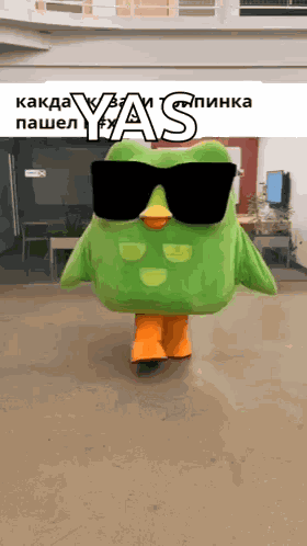 Duolingo GIF