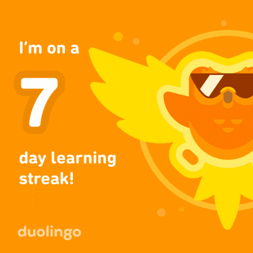 Duolingo Day Streak Meme