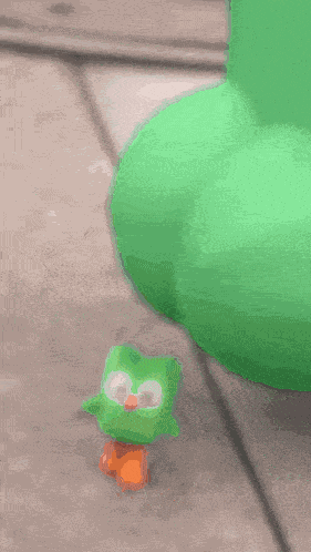 Duolingo Duo Lingo GIF