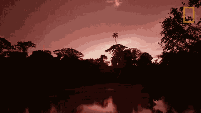 Dusk Primal Survivor GIF