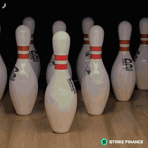 Duxtoken Bobithememelord GIF