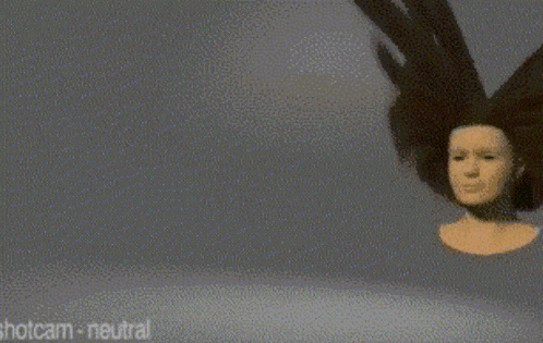 Dvd Extra Flapping GIF