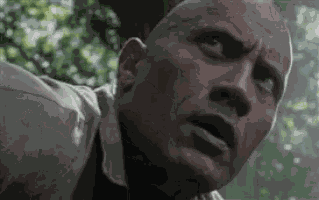 Dwayne Johnson Raised Eyebrow GIF