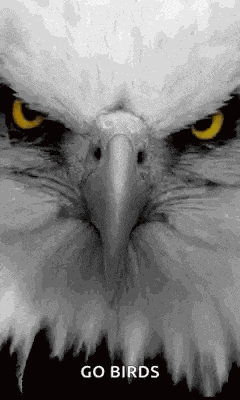 Eagle Animated GIF