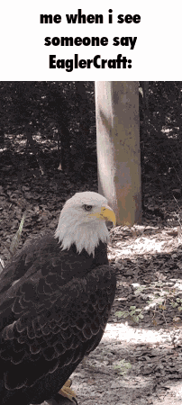 Eagle Eagler GIF