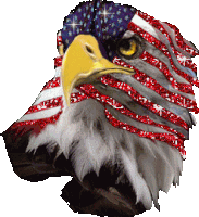 Eagle Flag Sticker