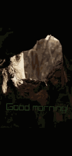 Eagle Good GIF