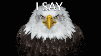 Eagle I Say GIF