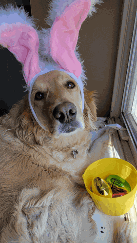 Easter Bunny Easter Meme