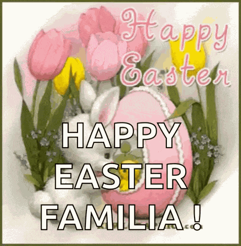 Easter Easter Bunny GIF