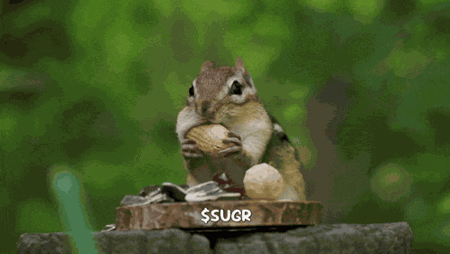 Eating A Nut Eating-a-nut GIF