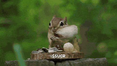 Eating A Nut Eating-a-nut GIF