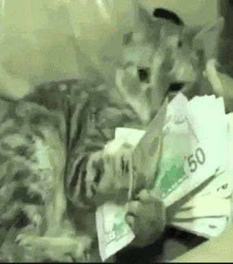 Eating Money GIF