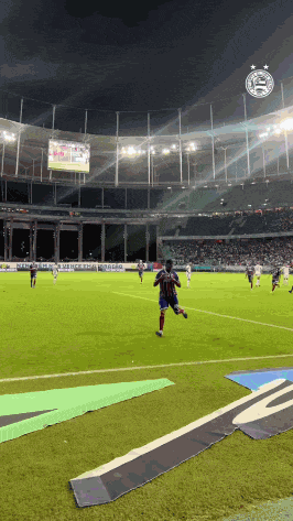Ec Bahia Gol GIF