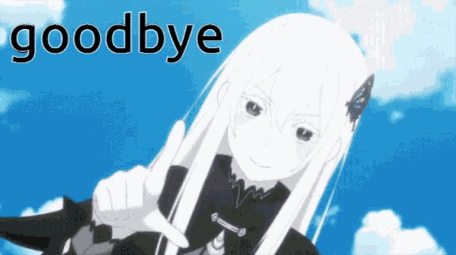Echidna Goodbye GIF