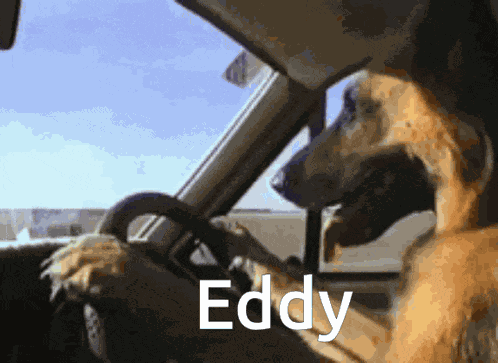 Eddy Hoho GIF