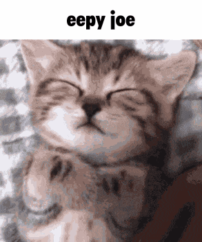 Eepy Cat GIF