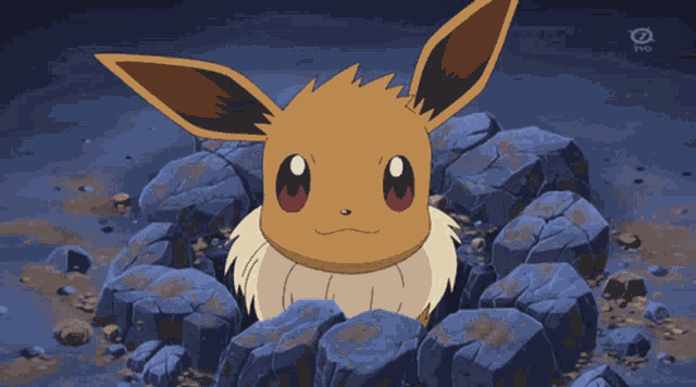 Eevee Pokemon GIF