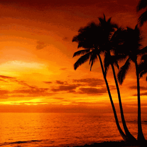 Effective Effective Vibes GIF