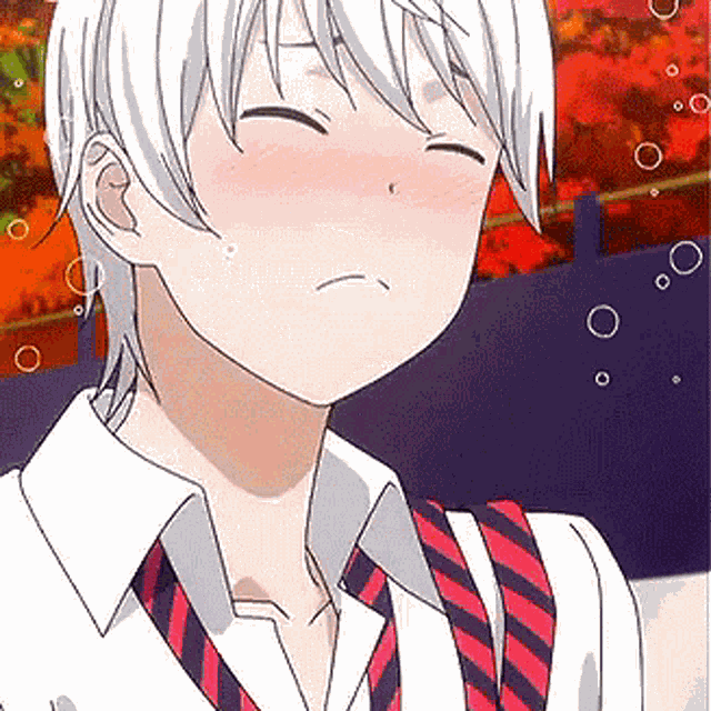 Eishi Tsukasa Tsukasa Eishi GIF