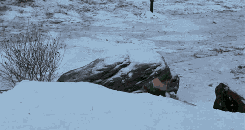 Elf Snowball GIF