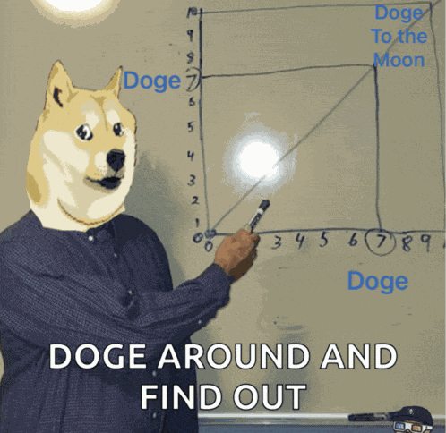 Elin Musk Doge Meme