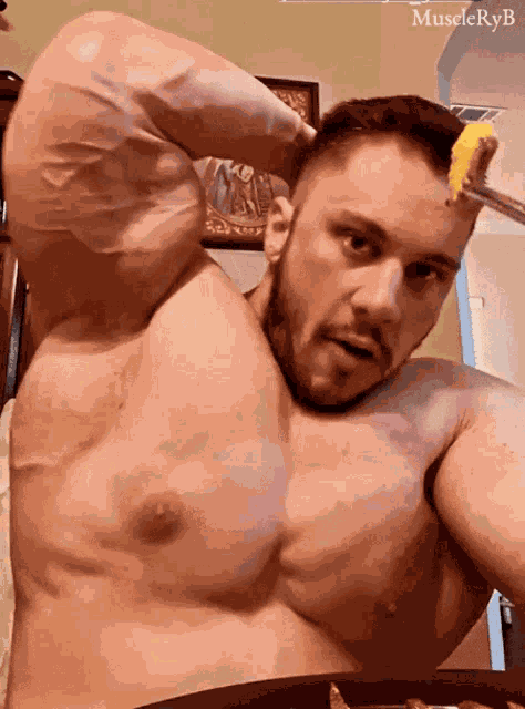 Elliott Muscle GIF