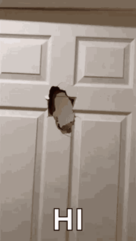 Elmo Door GIF