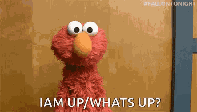 Elmo Nothing GIF