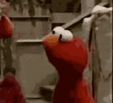 Elmo GIF
