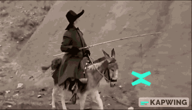 Elrond Multiversx GIF