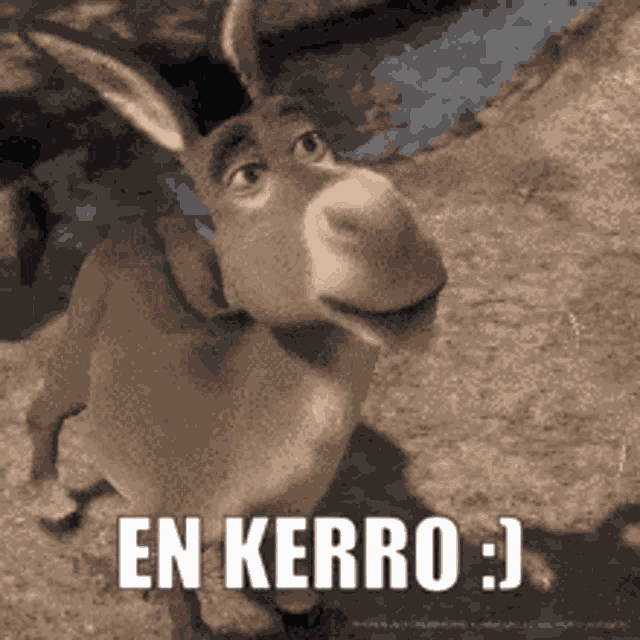 En Enkerro GIF