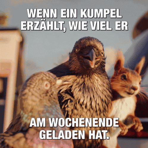 Enbw Birds GIF