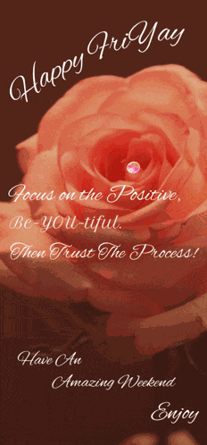 Enjoy Enjoy Your Day Meme