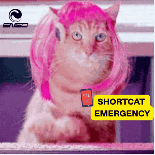 Enso Shortcats GIF