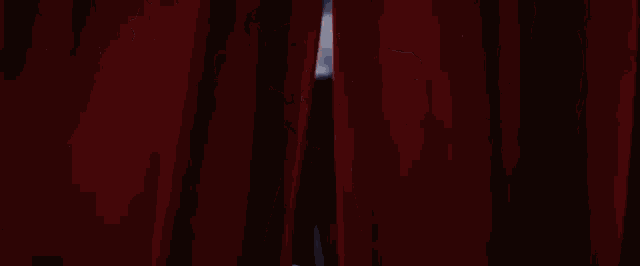 Entrance Curtains GIF