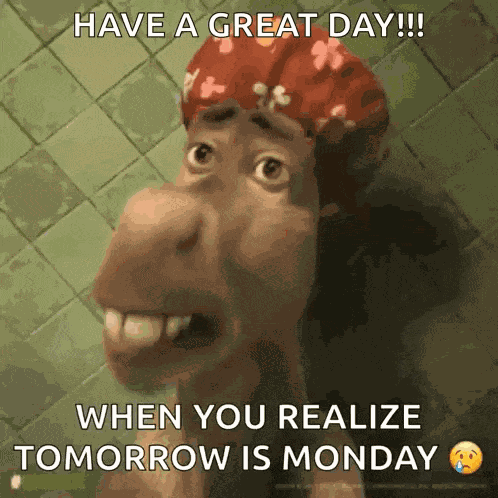 Enyell Enyell Burro GIF