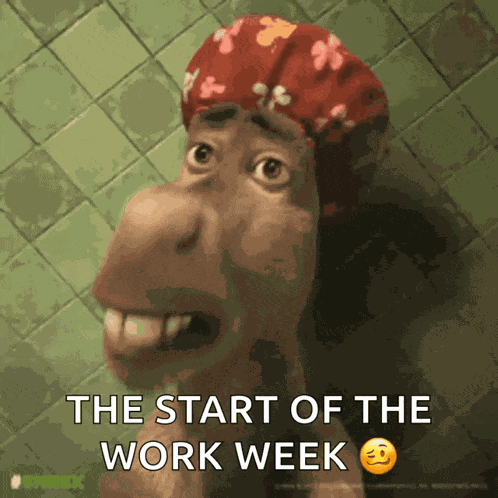 Enyell Enyell Burro GIF