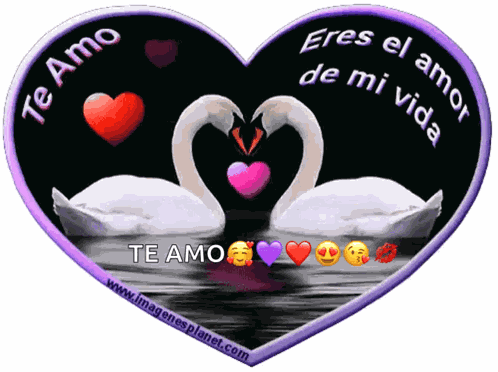 Eres El Amor De Mi Vida GIF
