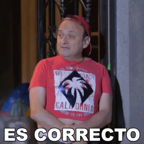 Es Correcto German GIF