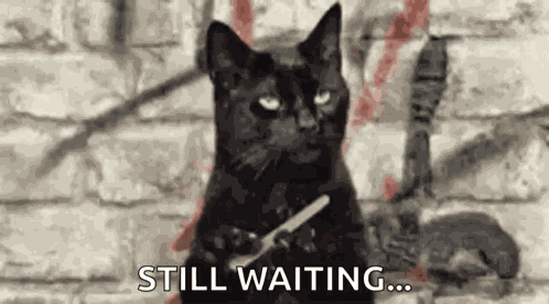 Esper Esperando GIF