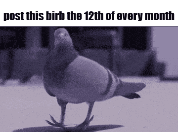 Essica Birb GIF